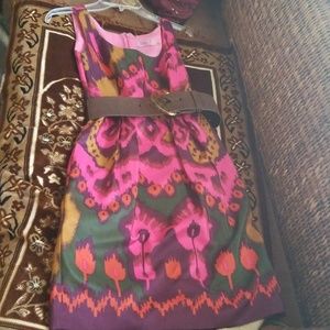 Size 2 Eliza J , women dress